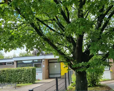 Das Bild zeigt den Kindergarten Sonnenblume in der Frontansicht mit der Eingangstür, dem Fahrradständer und der großen Kastanie im Vordergrund