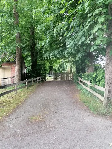 Die Allee zum Friedhof