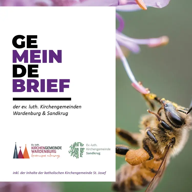 Titelbild des Gemeindebriefes der Kirchengemeinde Wardenburg, Ausgabe Juni - August 2025