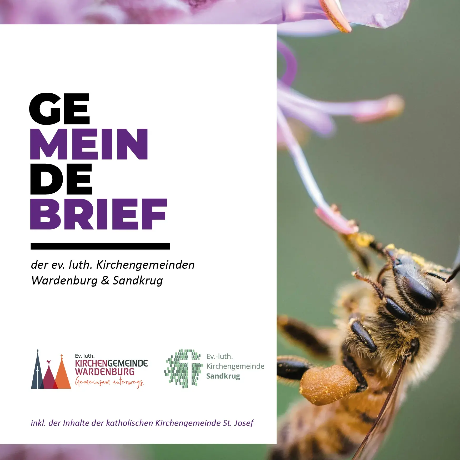 Titelbild des Gemeindebriefes der Kirchengemeinde Wardenburg, Ausgabe Juni - August 2025